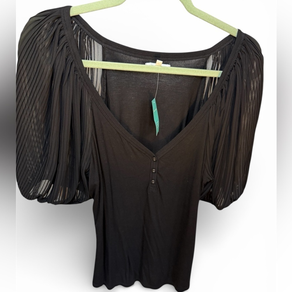 Black Pleated Sheer Puffy Sleeve Top - Women’s Blouse